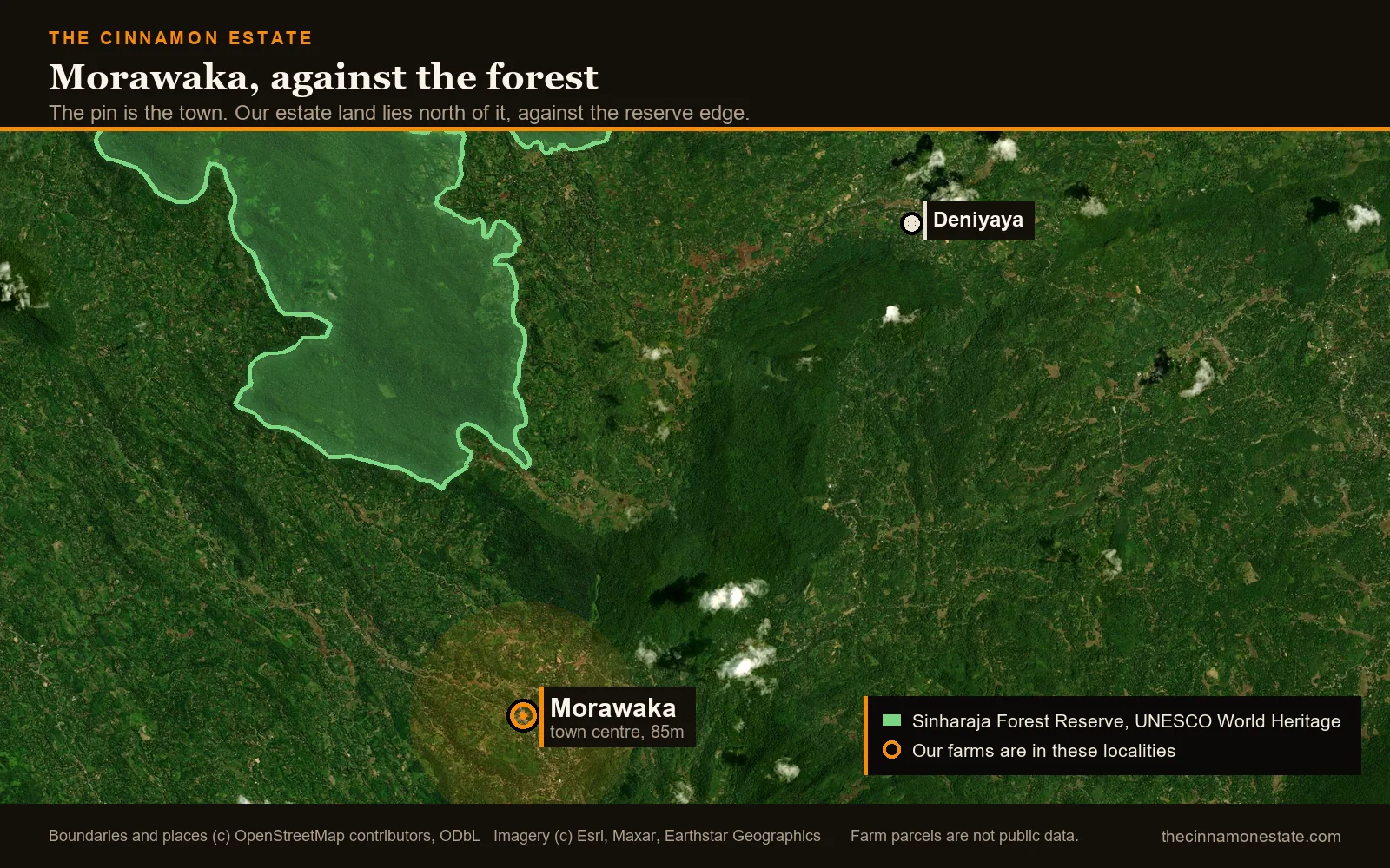 A map of Morawaka in the Matara District of southern Sri Lanka, showing the town against the southern edge of the Sinharaja Forest Reserve