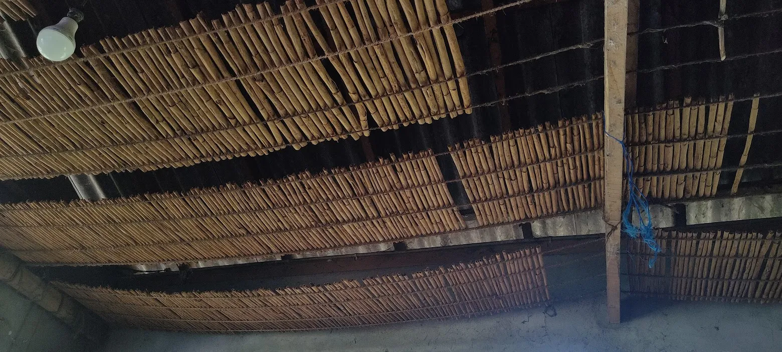 Cinnamon quills laid out to dry on bamboo racks under a shaded roof at the estate