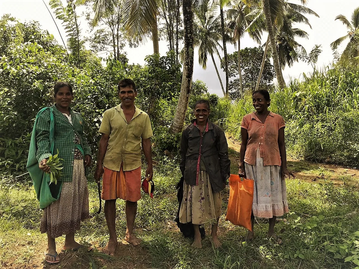 Four of the estate workers who grow and hand-roll our Ceylon cinnamon, standing together among the palms in Sri Lanka.