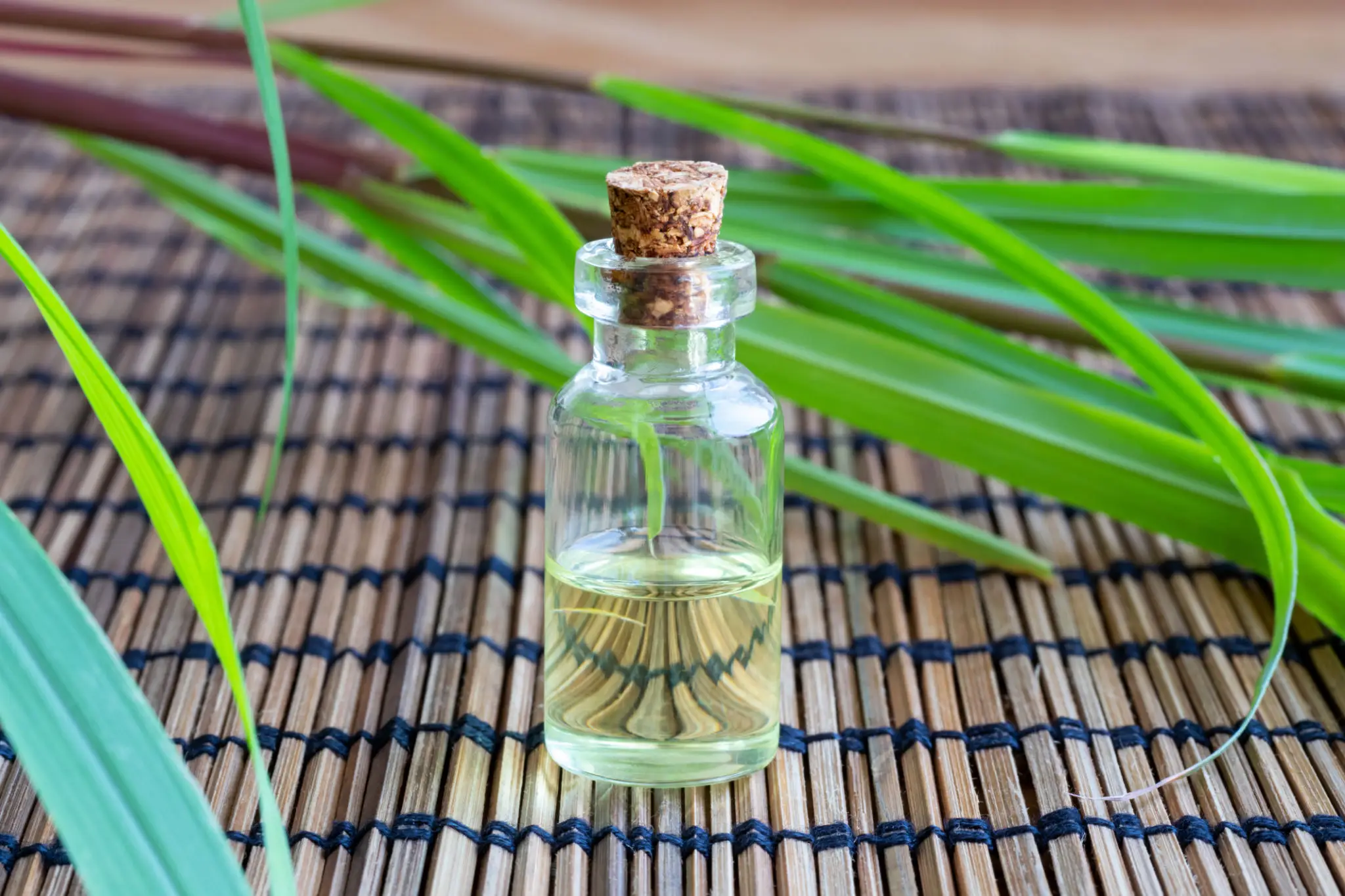 A bottle of citronella essential oil on an outdoor table on a warm evening