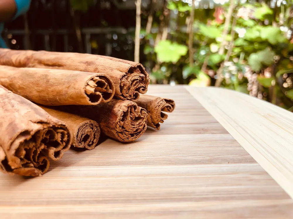 A stack of hand-rolled Ceylon cinnamon quills on a bamboo board, their layered rolls facing the camera, with estate greenery behind.