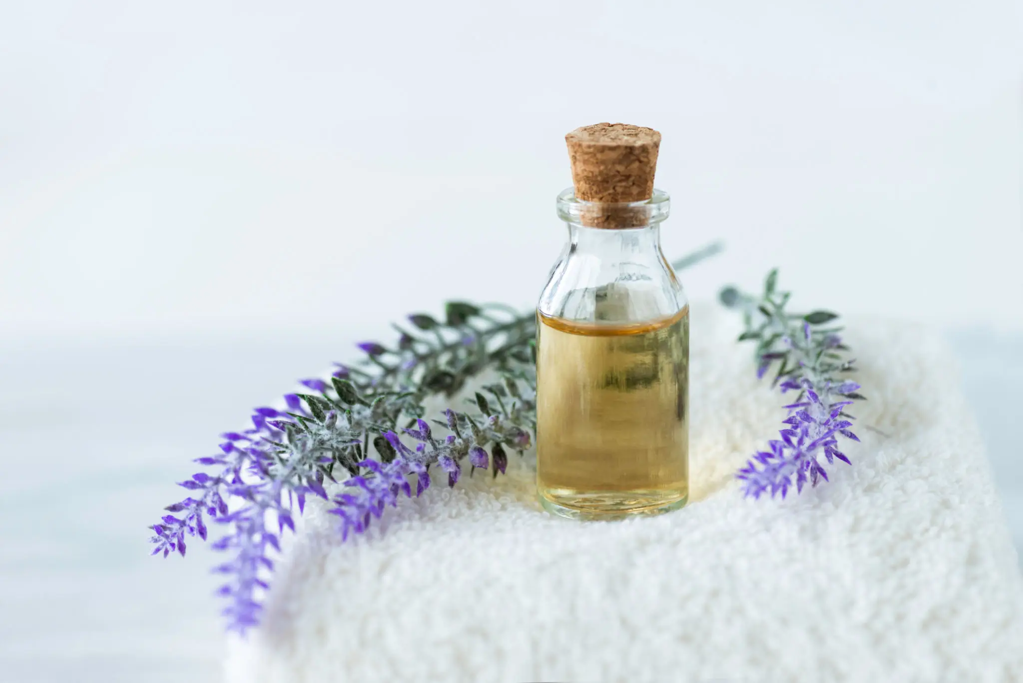 A bottle of pure lavender essential oil with fresh lavender