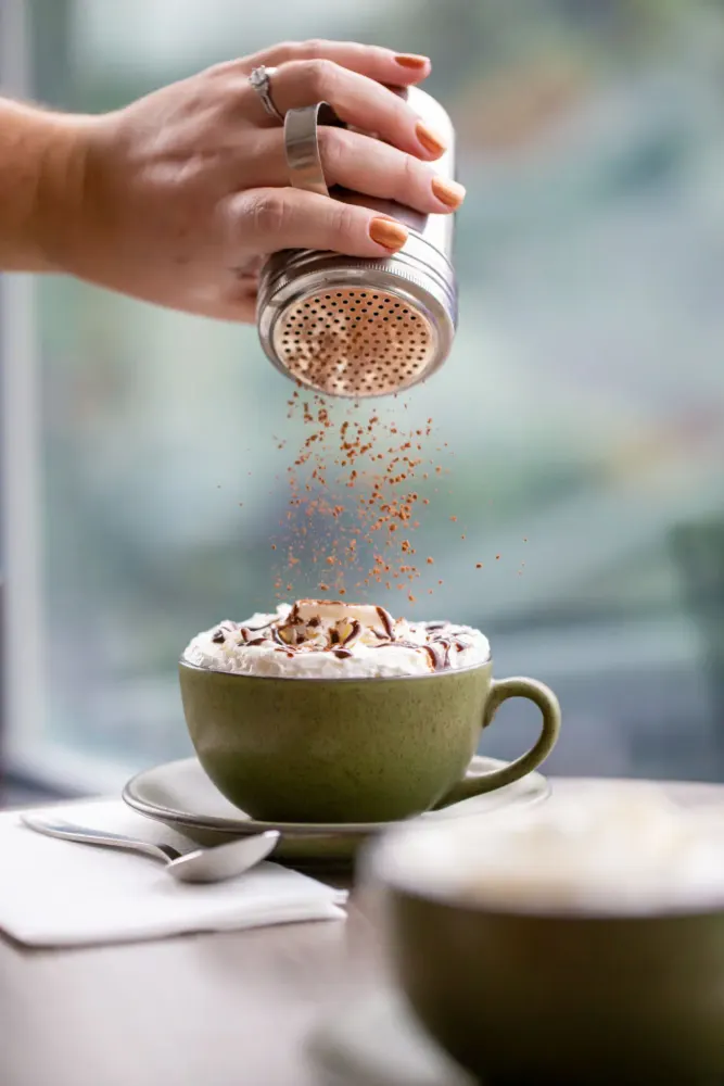 Cinnamon sugar dusted over the foam of a cappuccino
